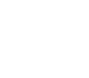 Logo Programu Zdolni